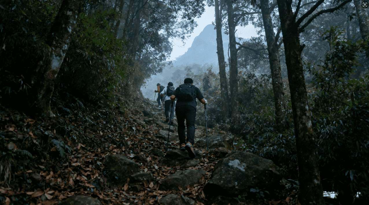 雷霆加速器网址安全下载指南与使用技巧
